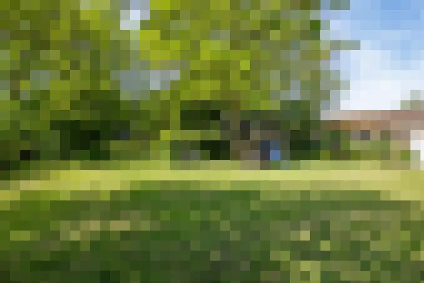 Witewei 2 Stiens thumbnail 74