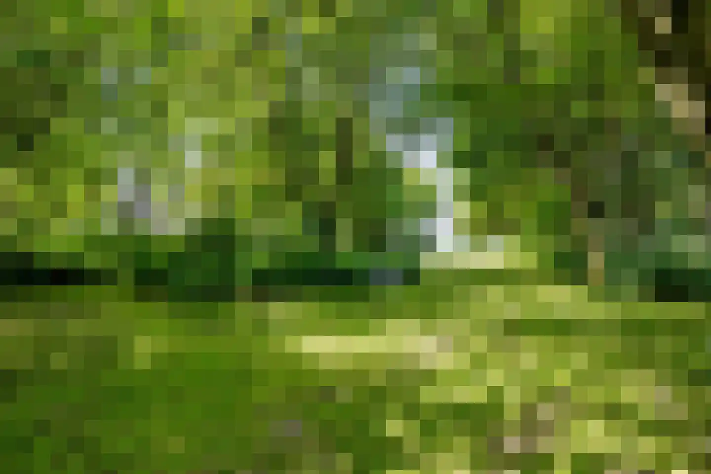 Witewei 2 Stiens thumbnail 75