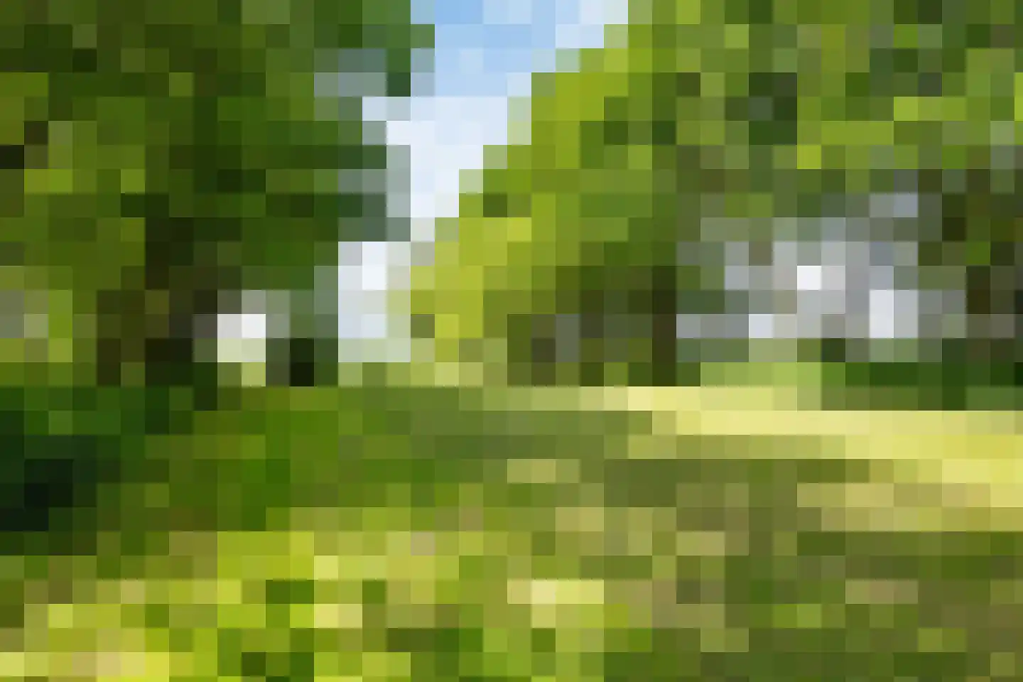 Witewei 2 Stiens thumbnail 76