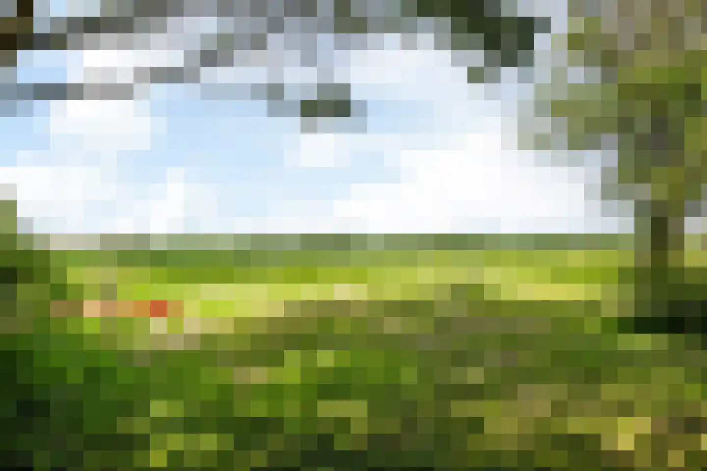 Witewei 2 Stiens thumbnail 77