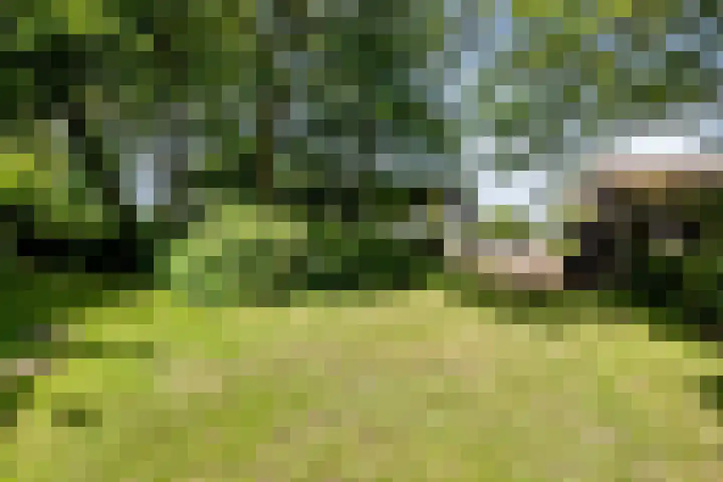 Witewei 2 Stiens thumbnail 78