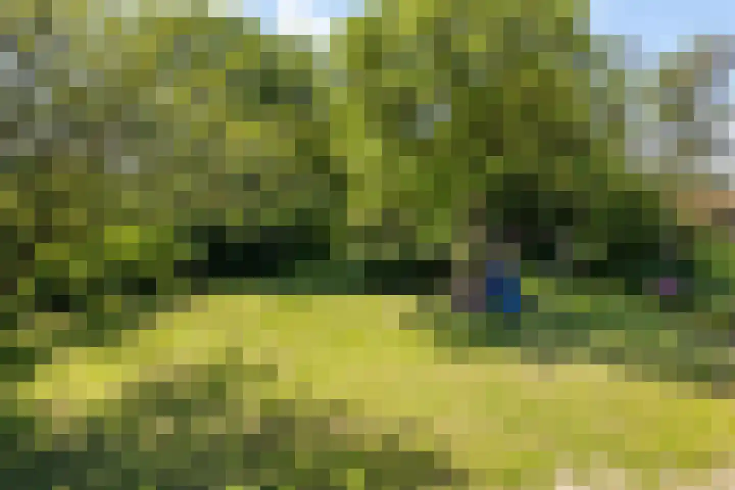 Witewei 2 Stiens thumbnail 79