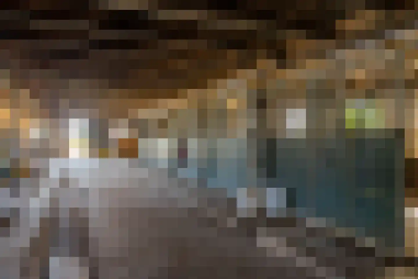 Witewei 2 Stiens thumbnail 80
