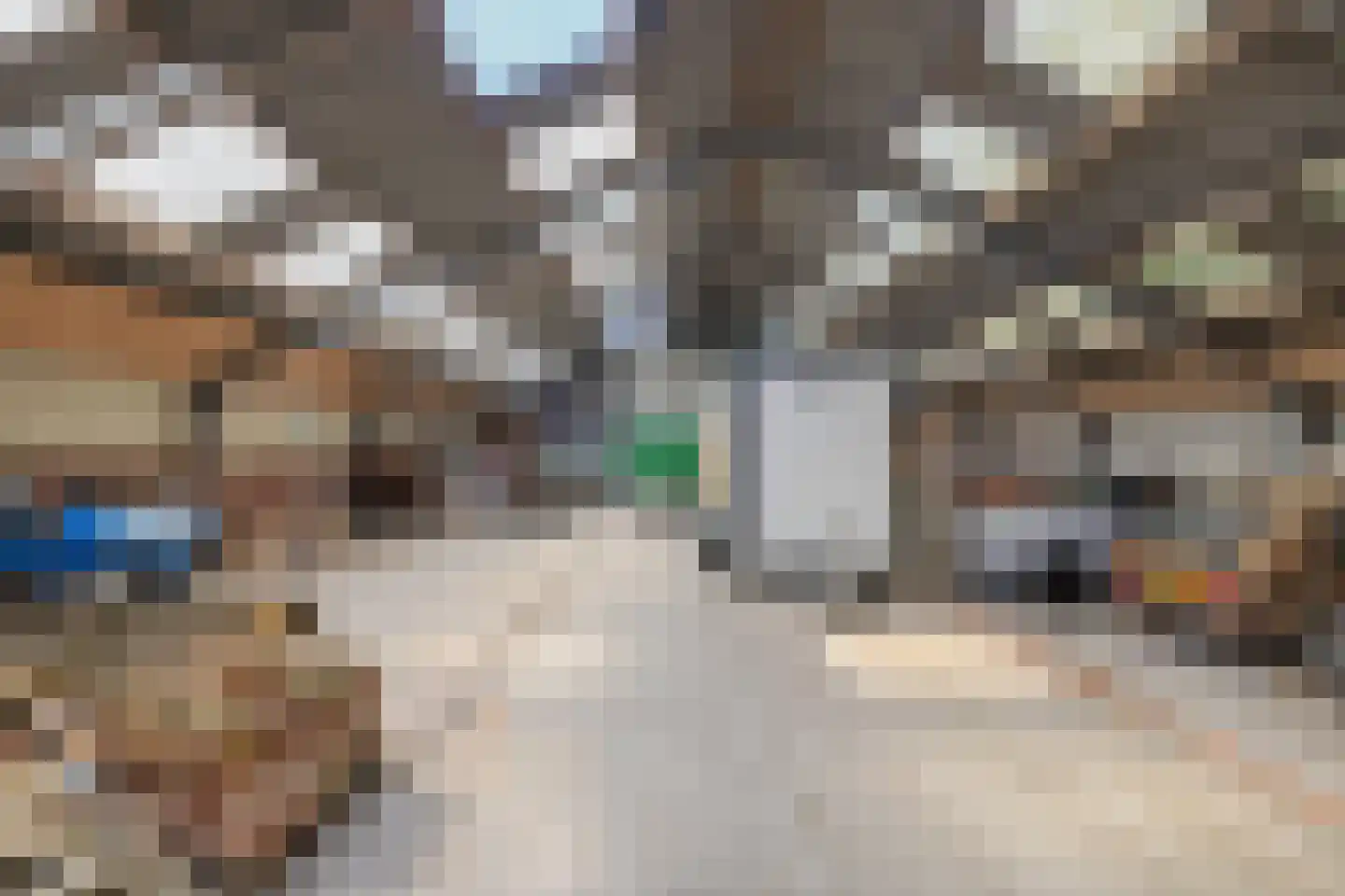 Witewei 2 Stiens thumbnail 85