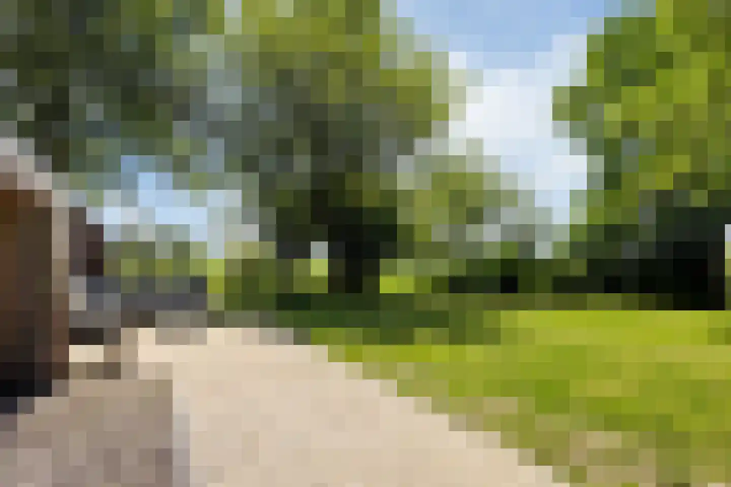 Witewei 2 Stiens thumbnail 88