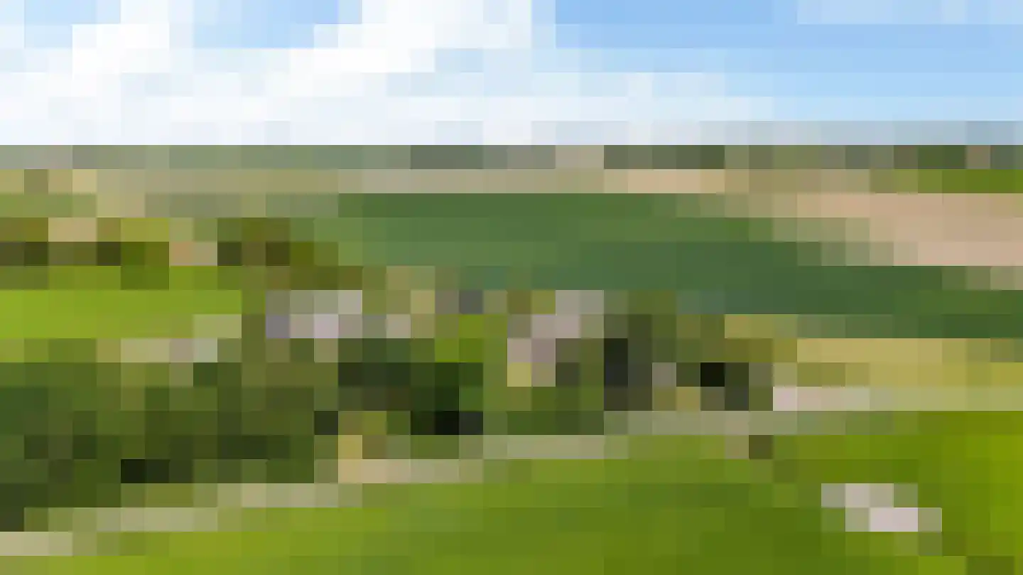 Witewei 2 Stiens thumbnail 92