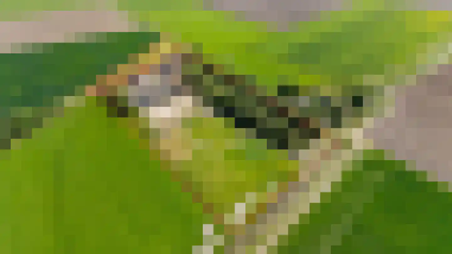 Witewei 2 Stiens thumbnail 93