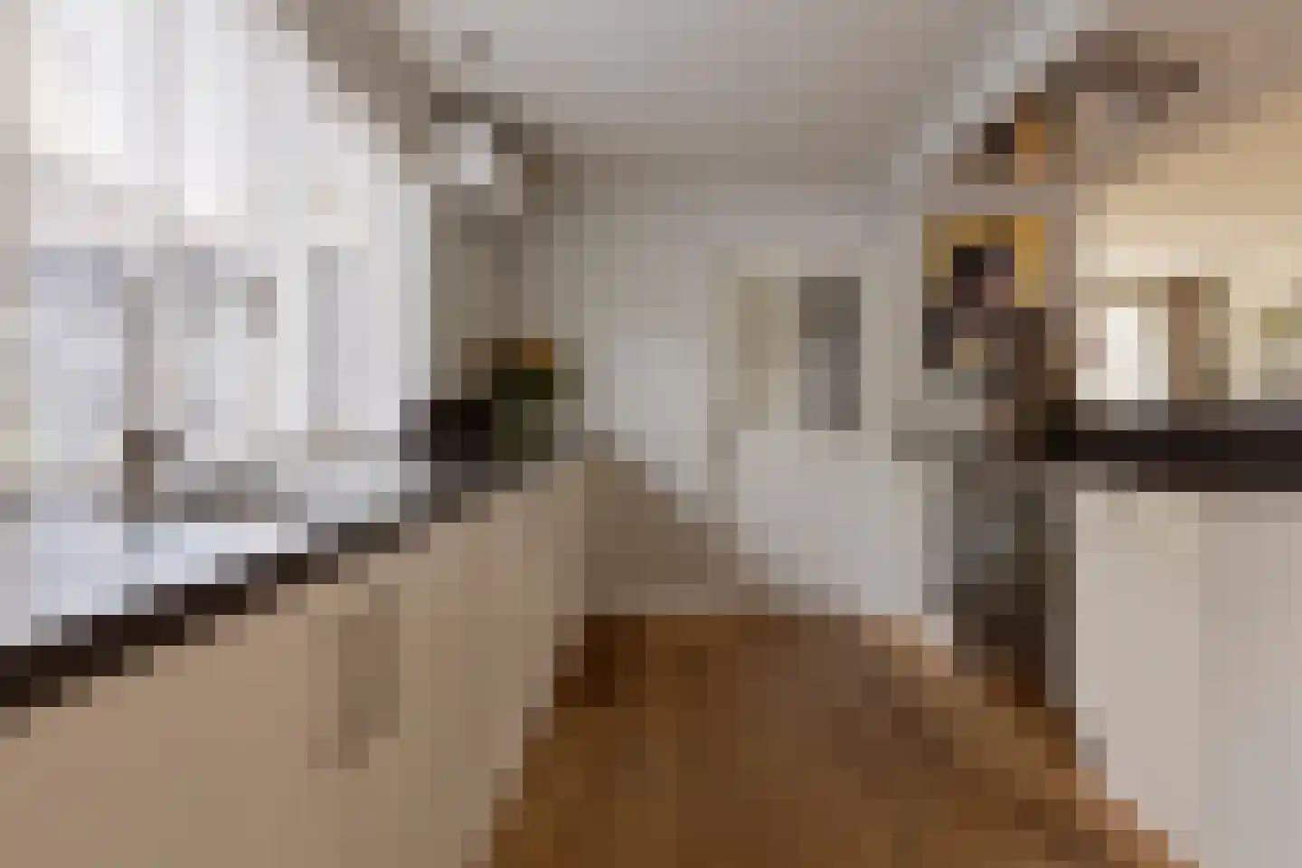 Withagen 9 Chaam thumbnail 10
