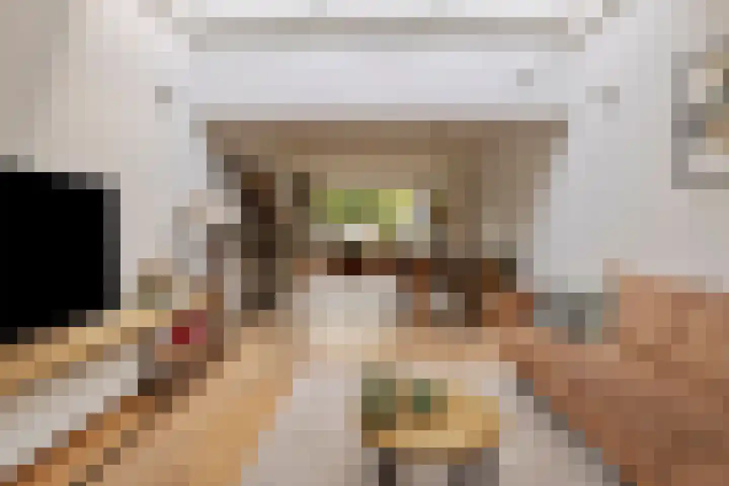 Withagen 9 Chaam thumbnail 13