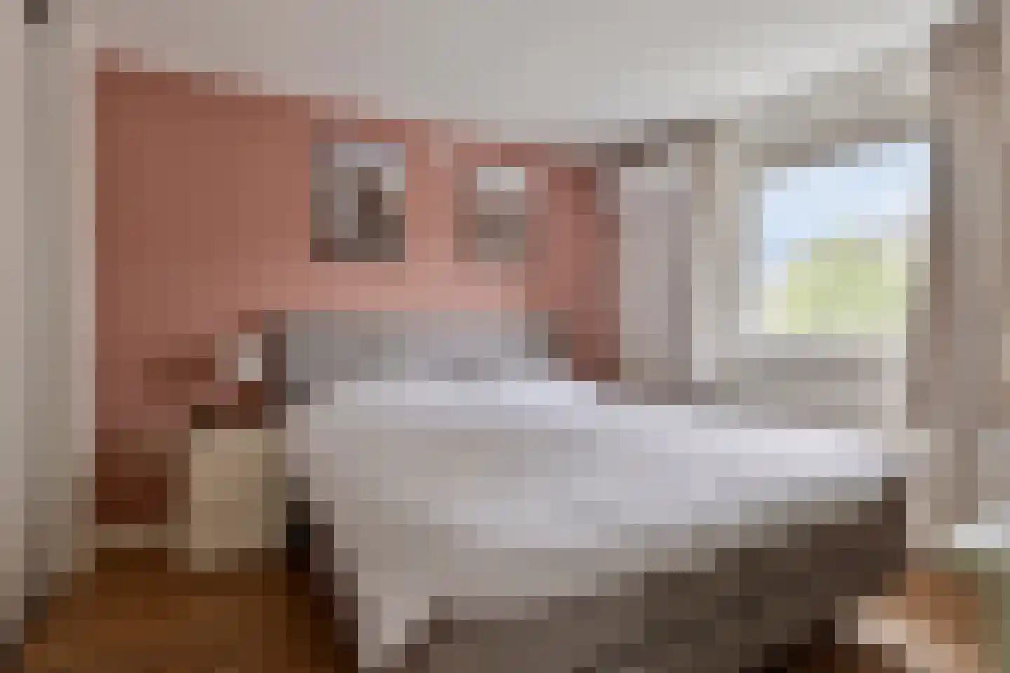 Withagen 9 Chaam thumbnail 22