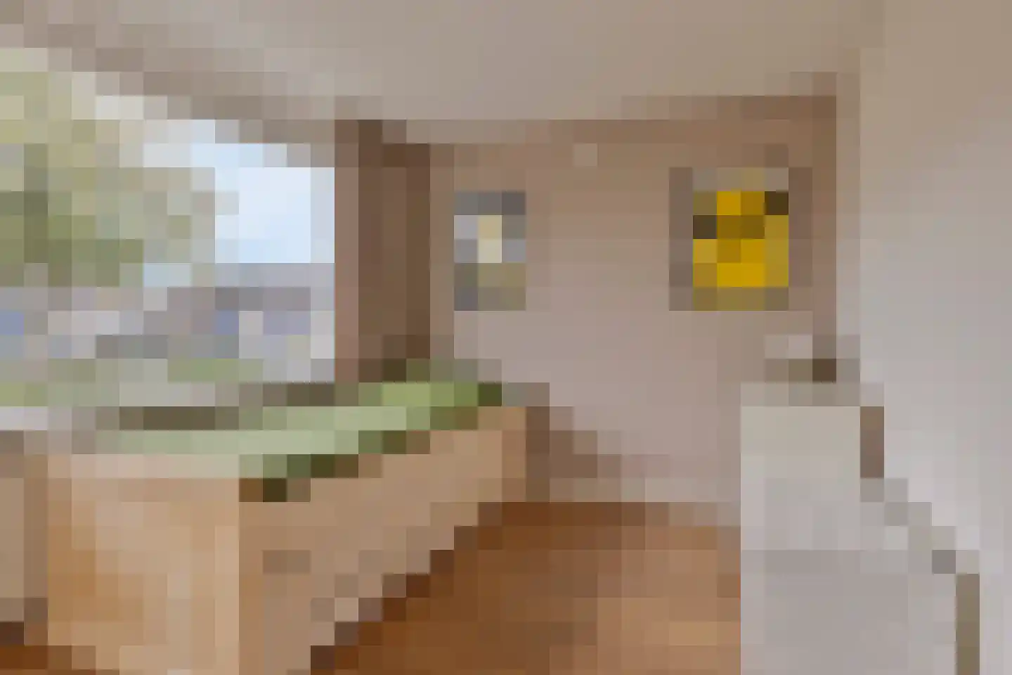Withagen 9 Chaam thumbnail 24