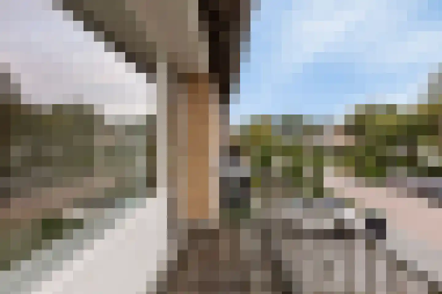 Withagen 9 Chaam thumbnail 27