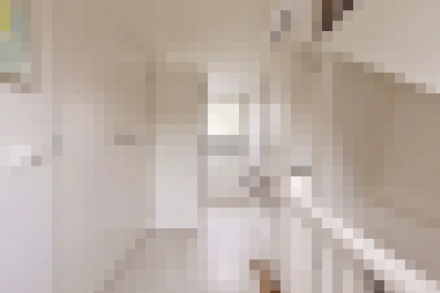 Withagen 9 Chaam thumbnail 32