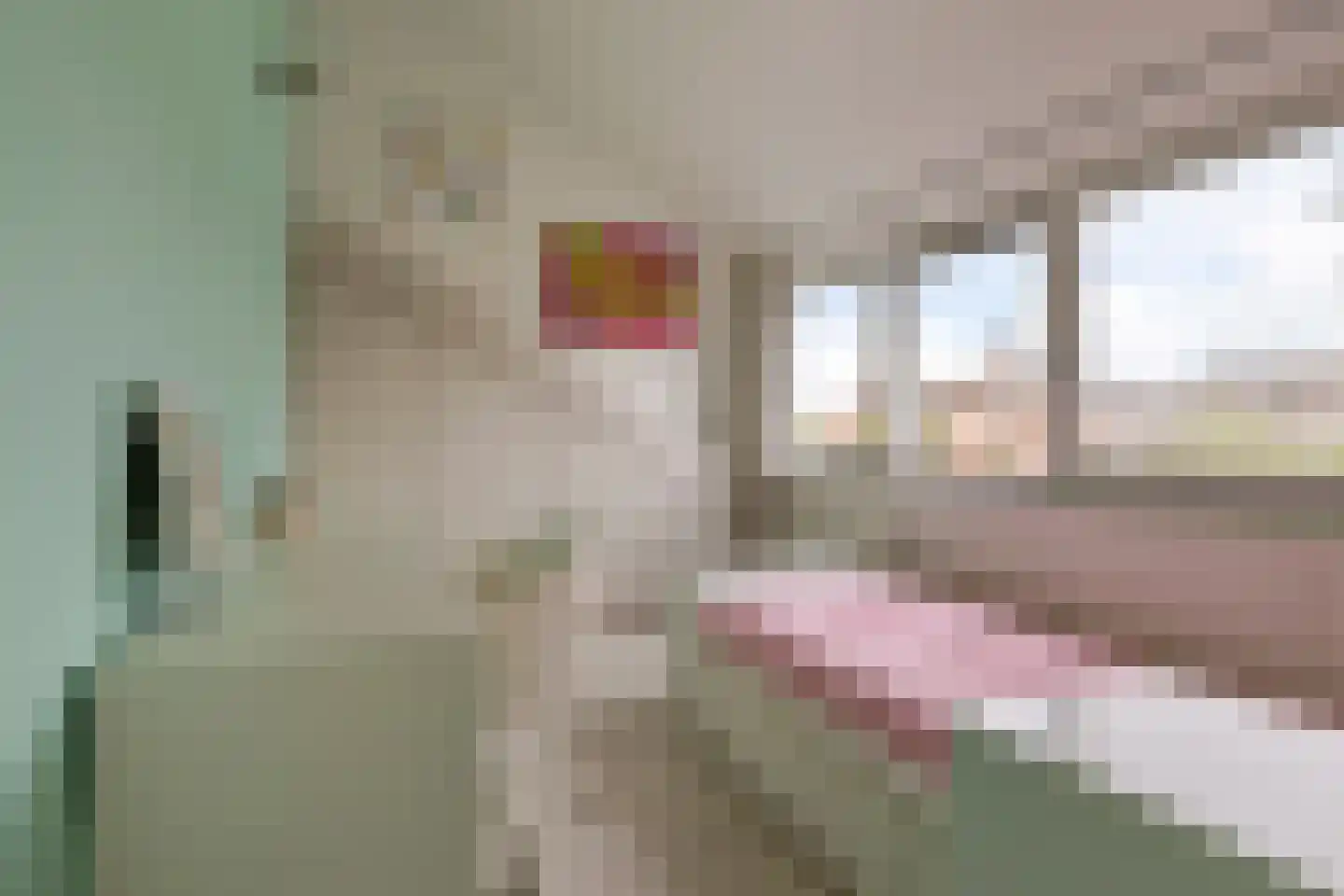 Withagen 9 Chaam thumbnail 33