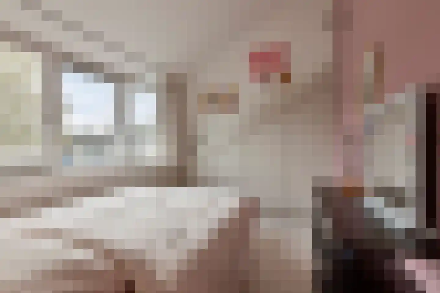 Withagen 9 Chaam thumbnail 35