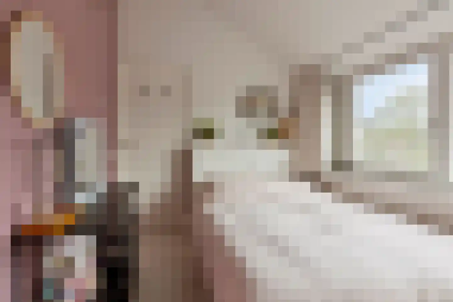 Withagen 9 Chaam thumbnail 36