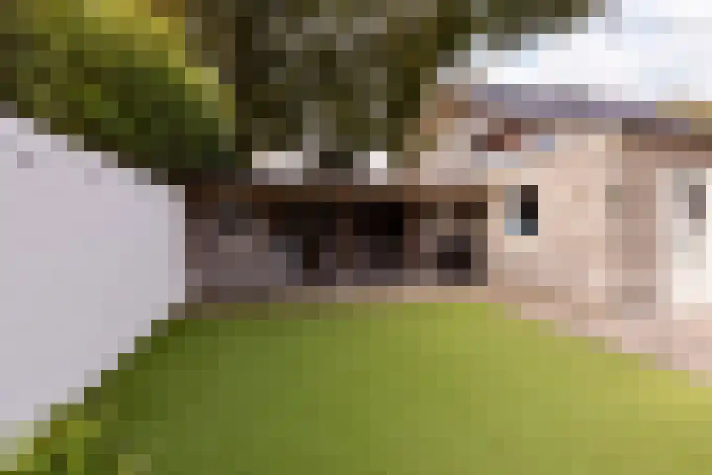 Withagen 9 Chaam thumbnail 41