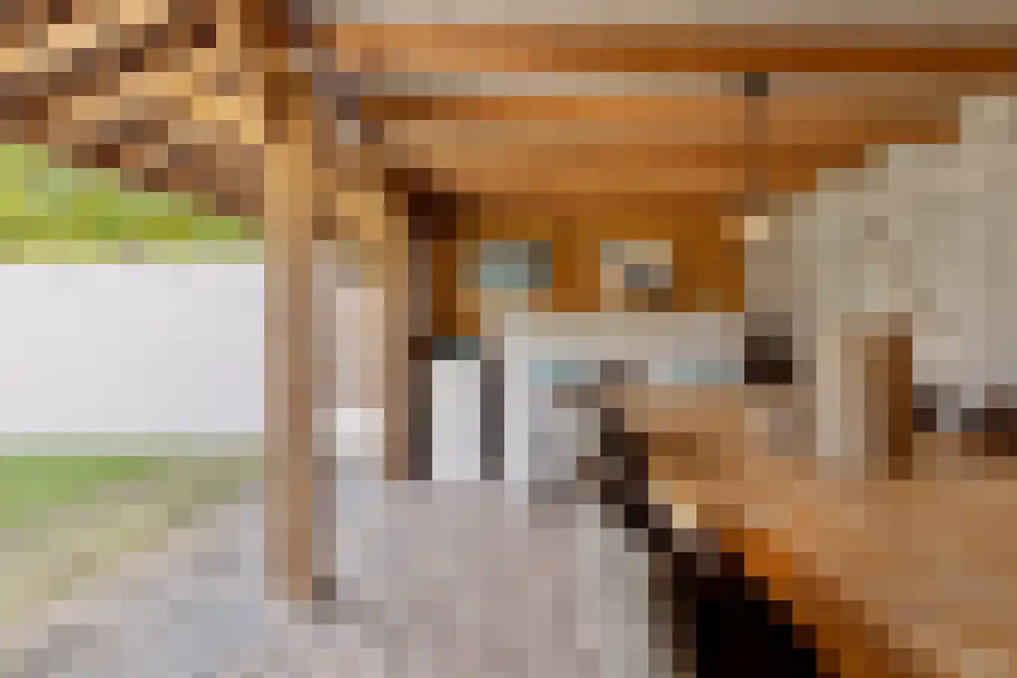 Withagen 9 Chaam thumbnail 43