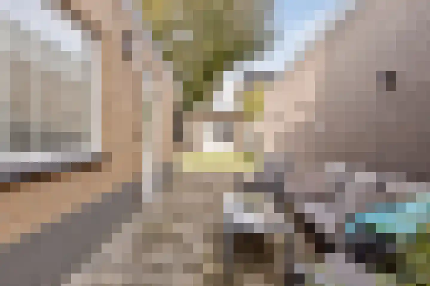 Withagen 9 Chaam thumbnail 45