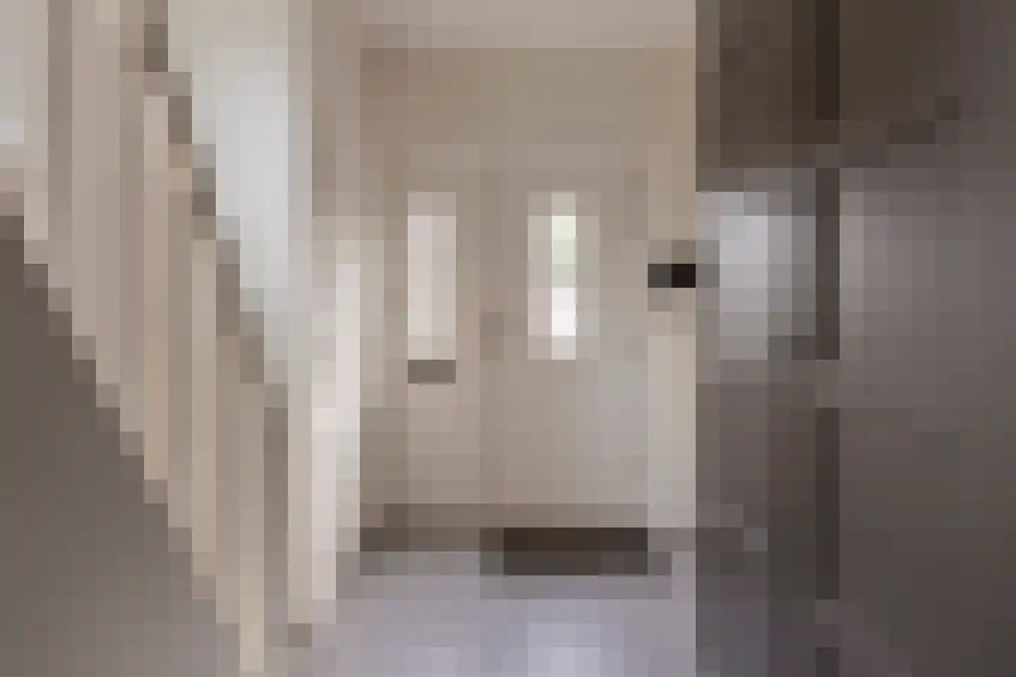 Withagen 9 Chaam thumbnail 6