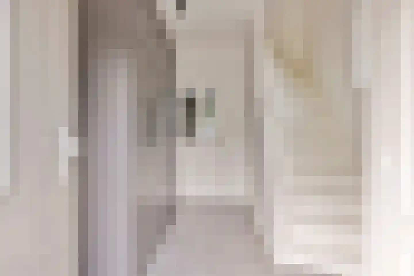 Withagen 9 Chaam thumbnail 7