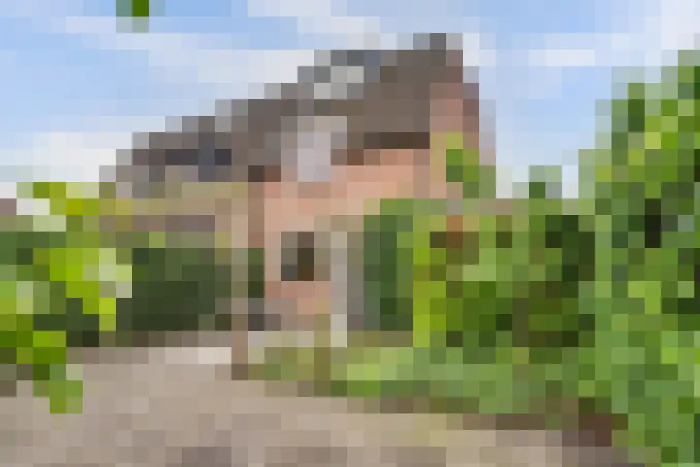 Withagen 96 Chaam thumbnail 36