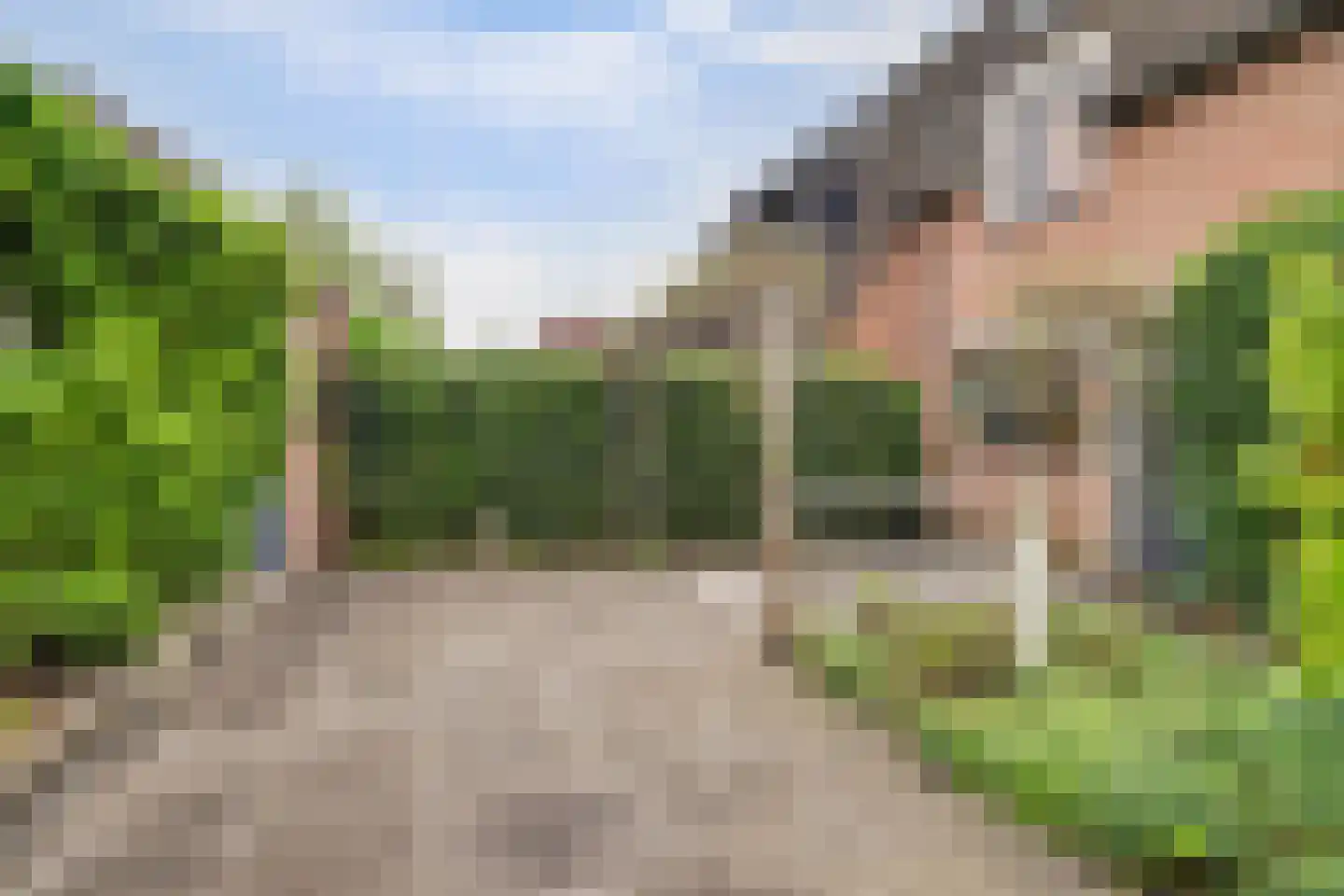 Withagen 96 Chaam thumbnail 37