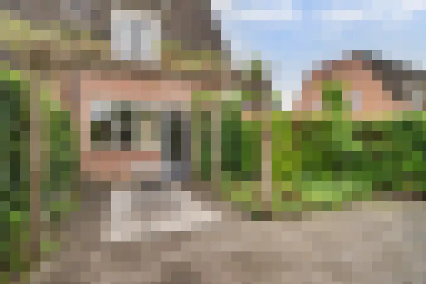 Withagen 96 Chaam thumbnail 38