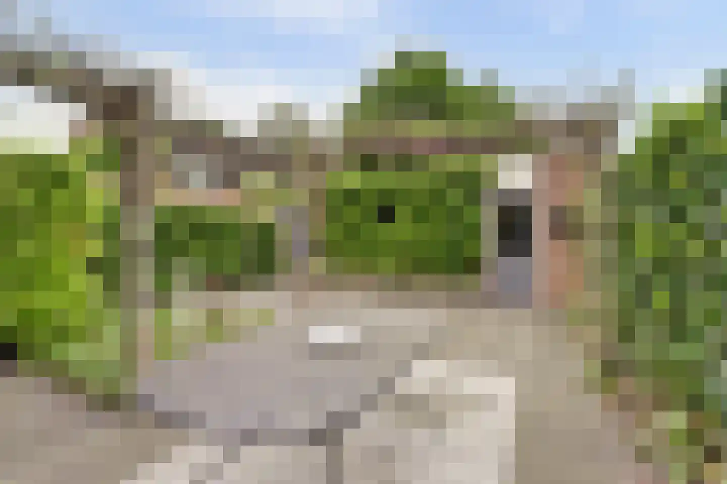 Withagen 96 Chaam thumbnail 39