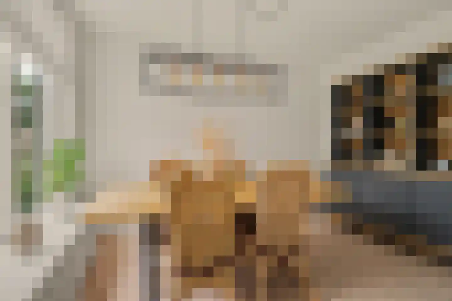 Withagen 96 Chaam thumbnail 4