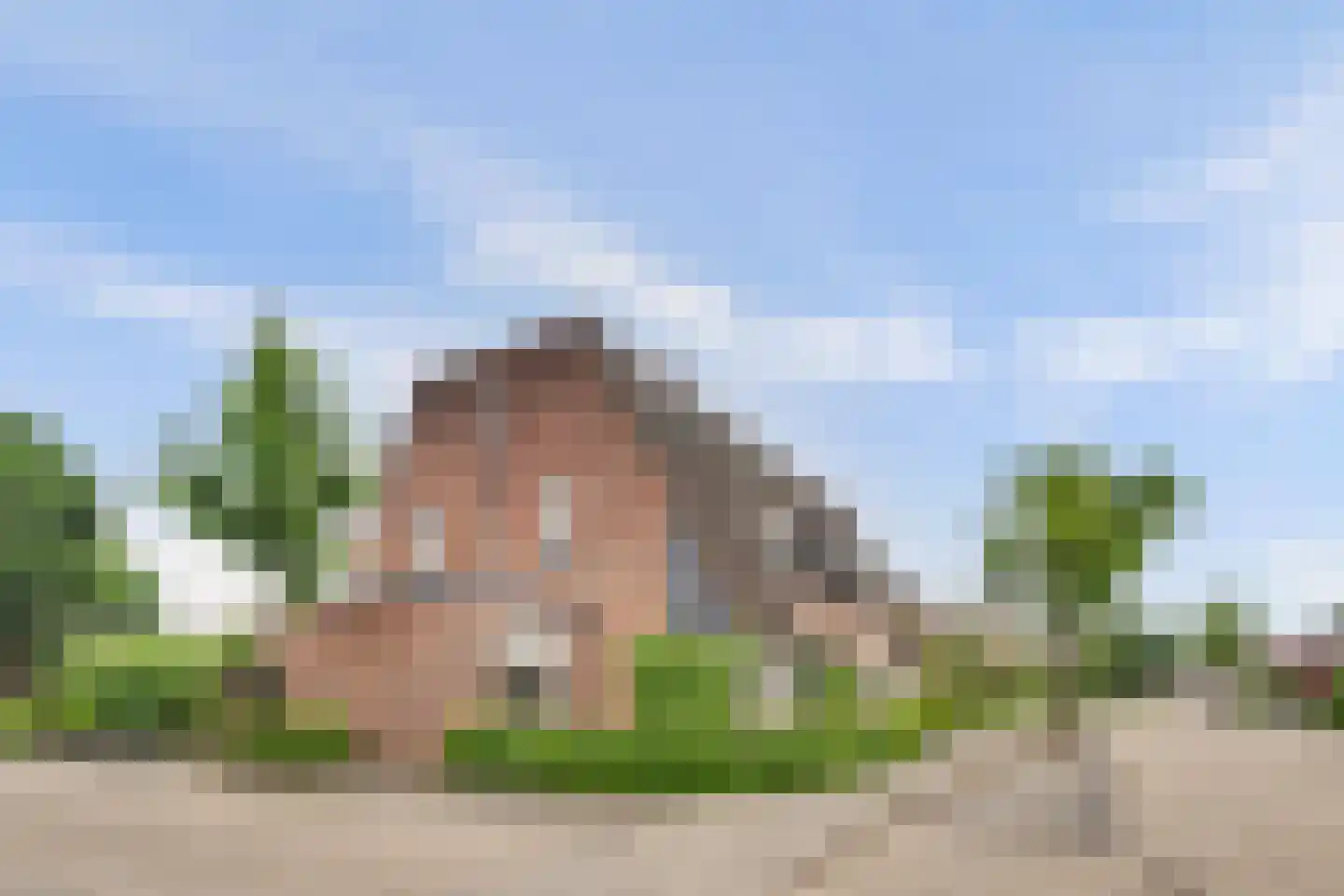 Withagen 96 Chaam thumbnail 43