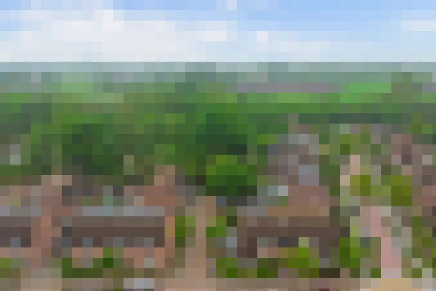 Withagen 96 Chaam thumbnail 46