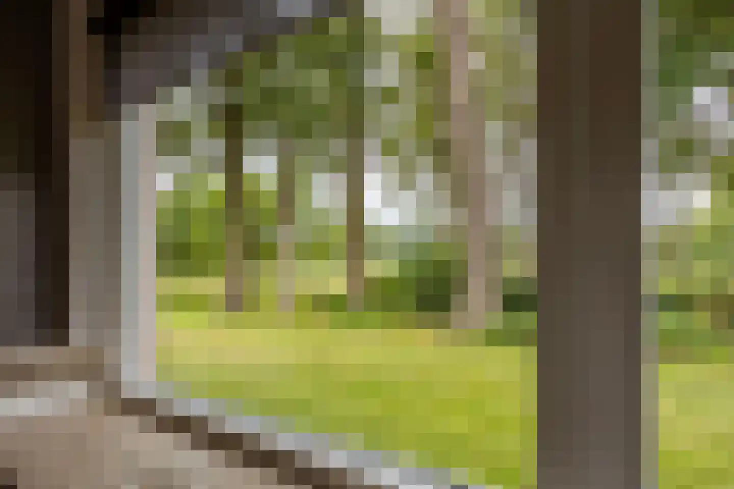 Withagsmedenweg 5 Hengelo thumbnail 17