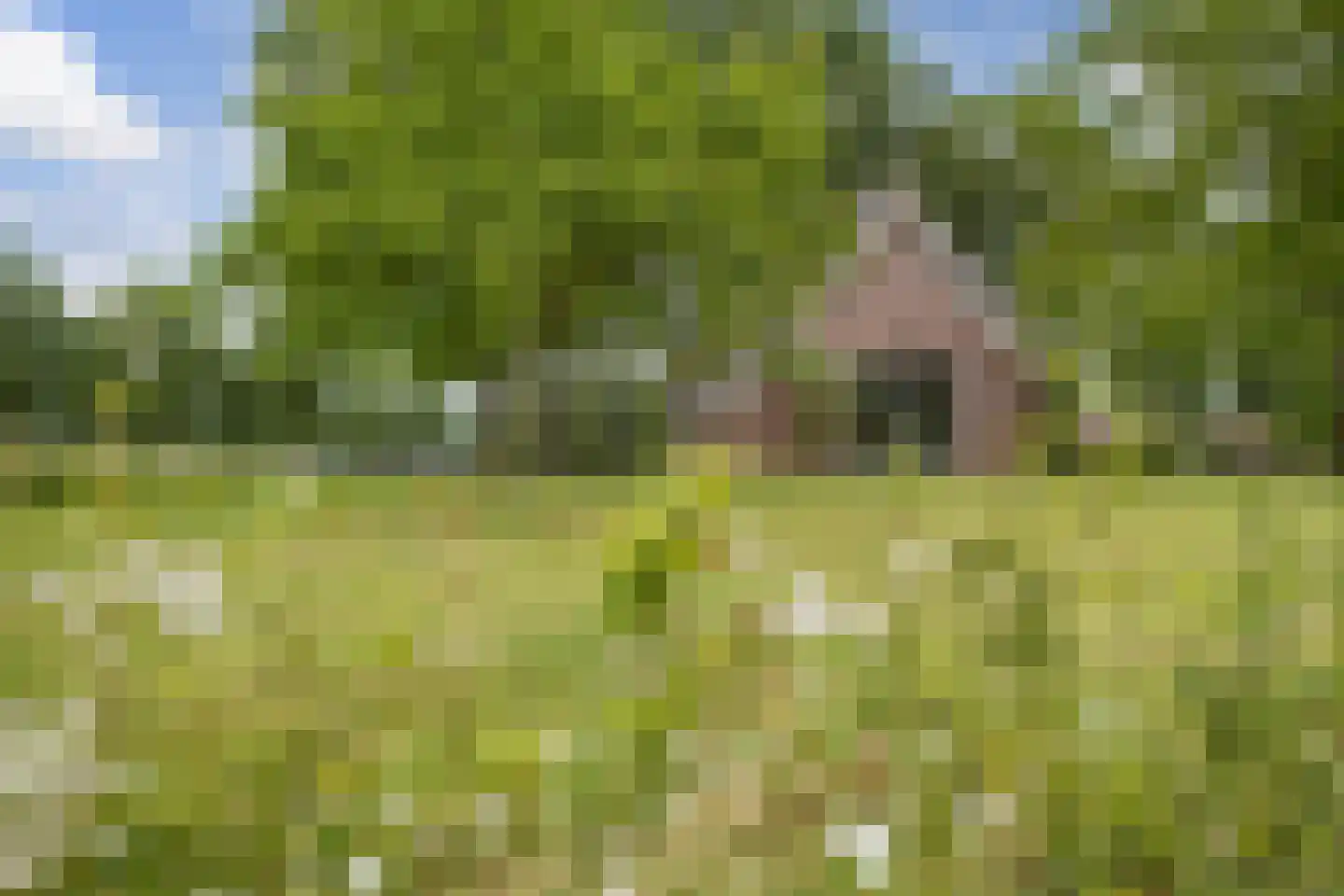 Withagsmedenweg 5 Hengelo thumbnail 31