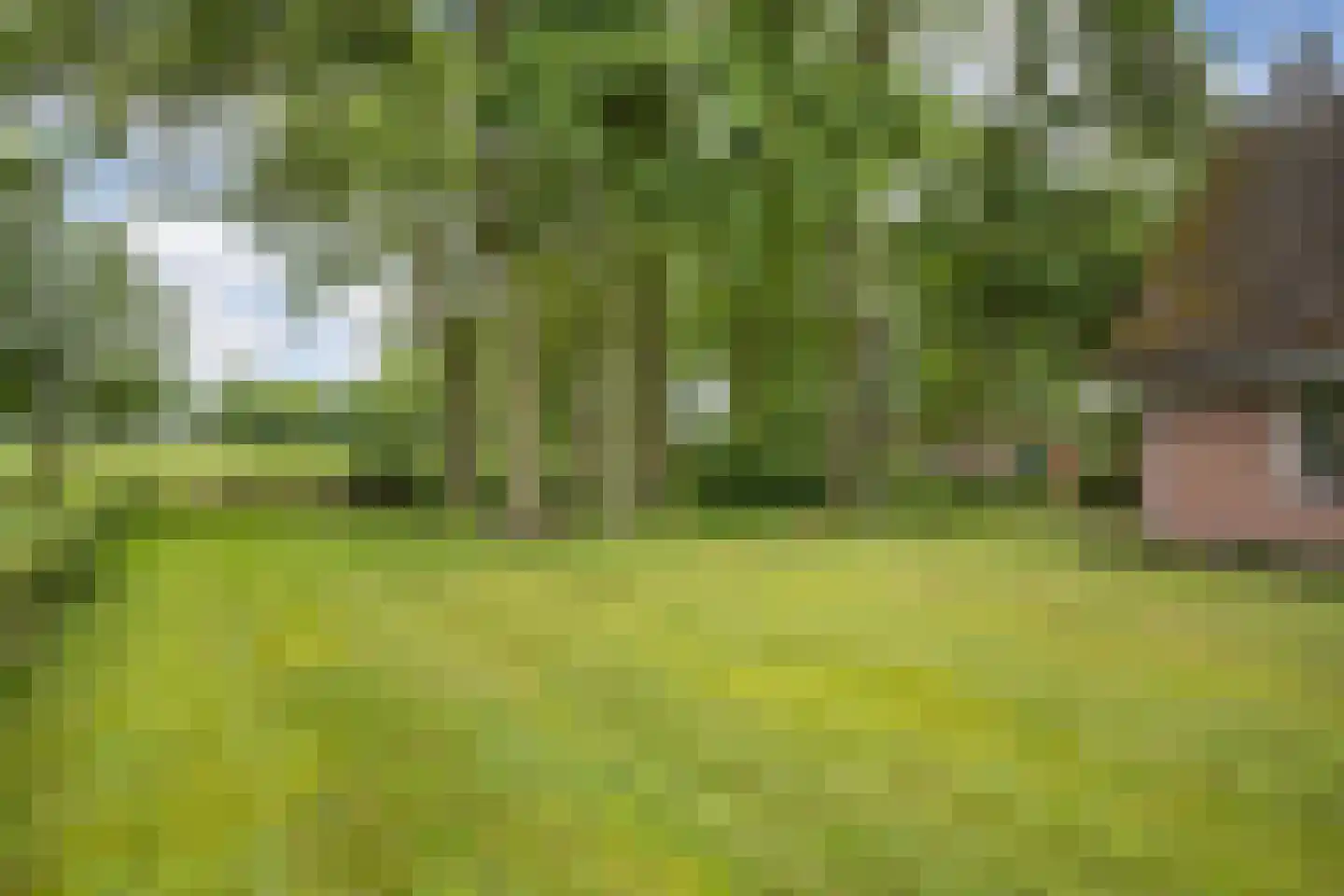 Withagsmedenweg 5 Hengelo thumbnail 33
