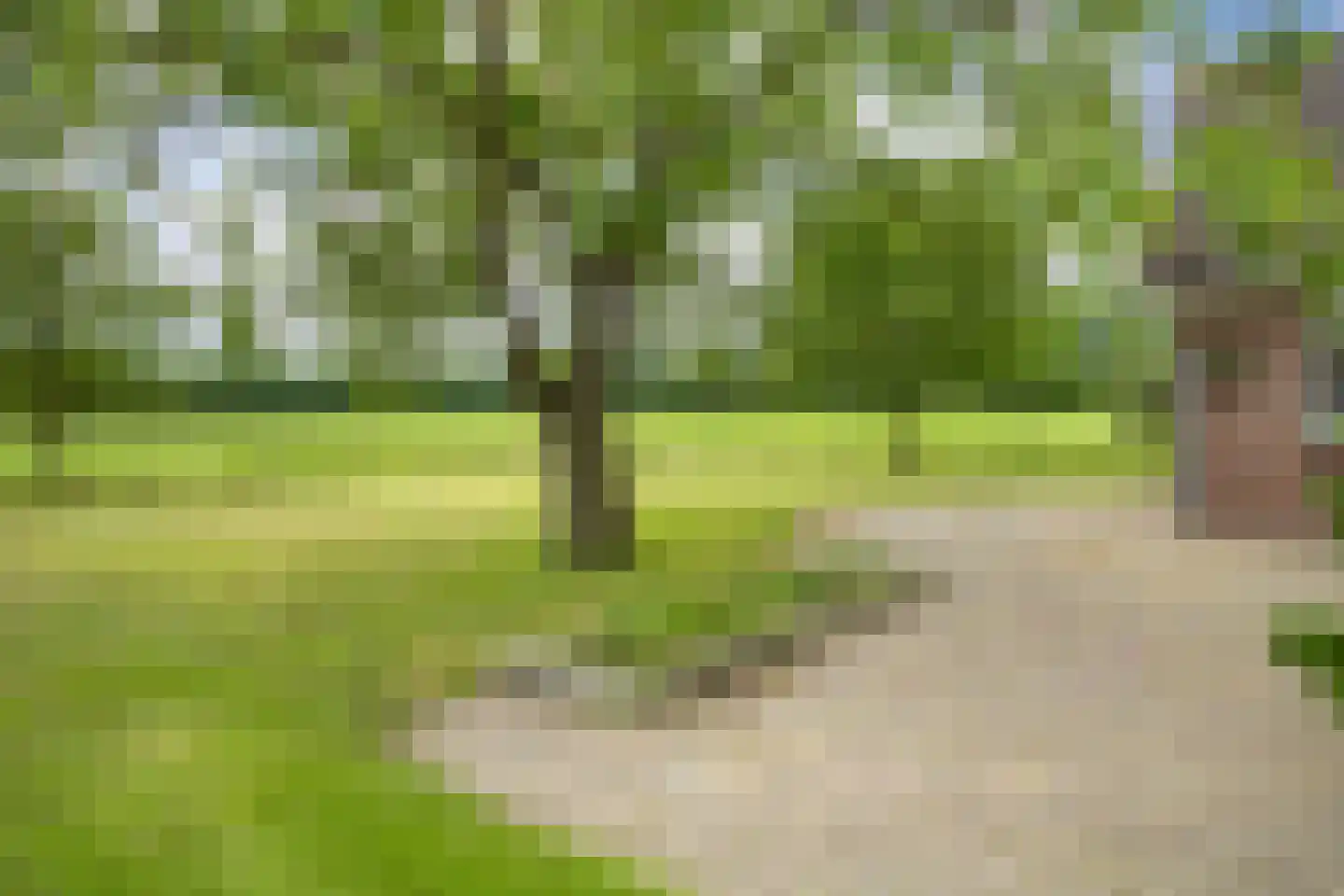 Withagsmedenweg 5 Hengelo thumbnail 34