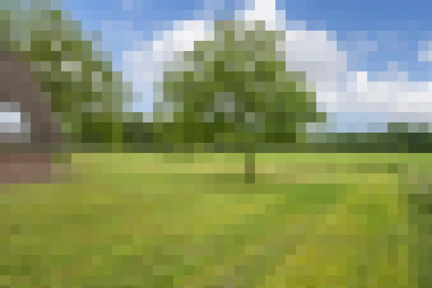 Withagsmedenweg 5 Hengelo thumbnail 35