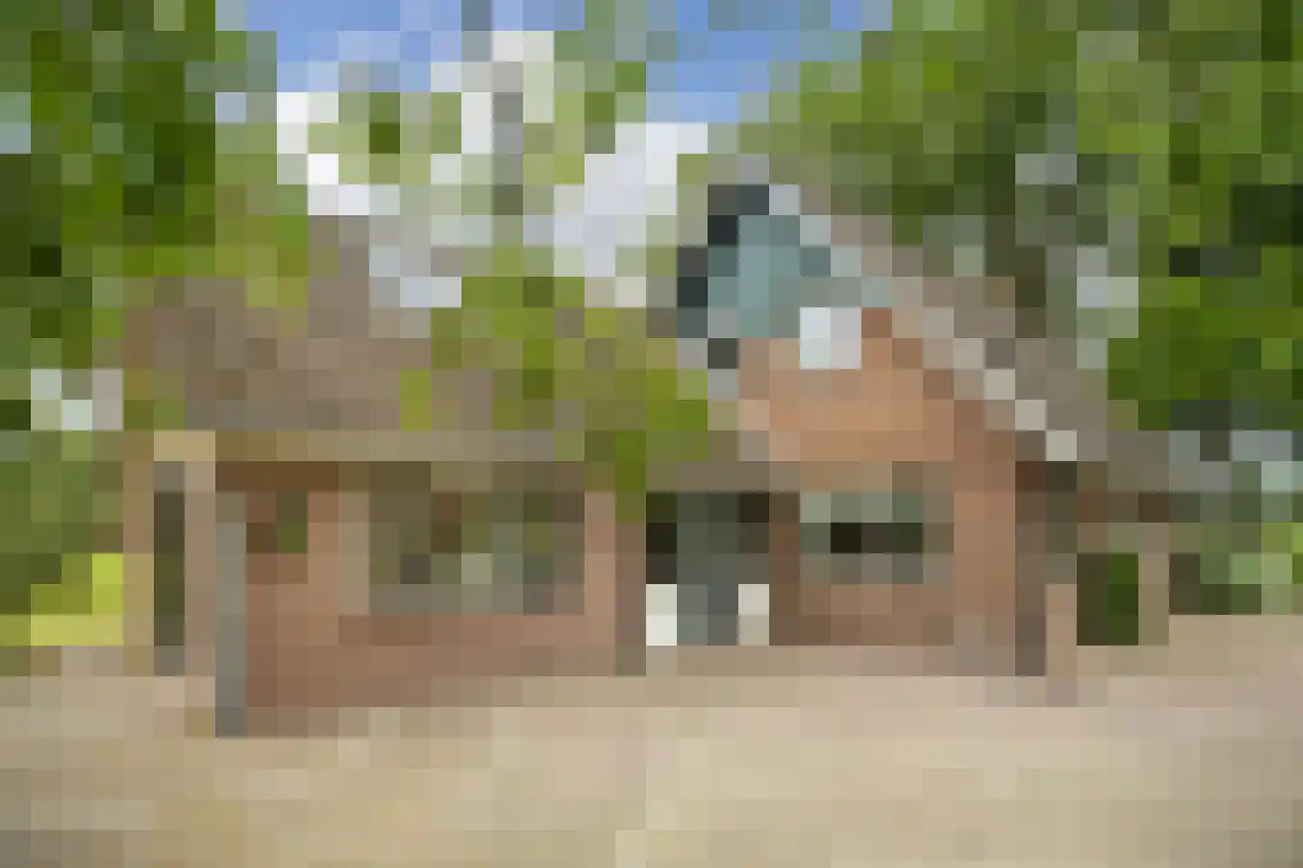 Withagsmedenweg 5 Hengelo thumbnail 36