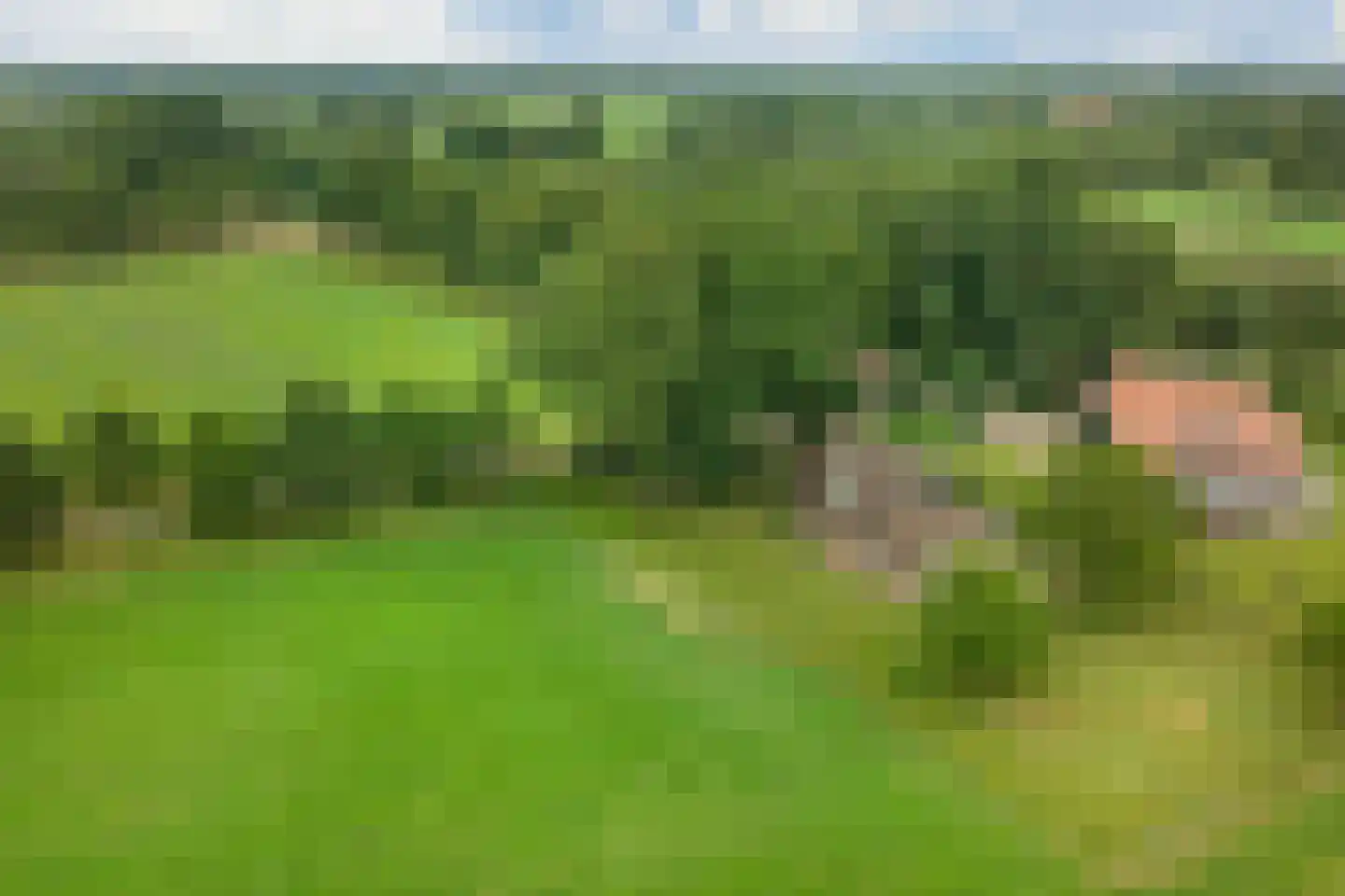 Withagsmedenweg 5 Hengelo thumbnail 4