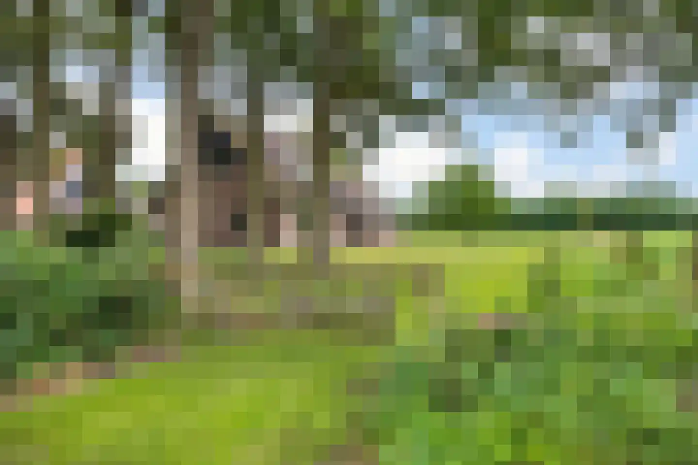 Withagsmedenweg 5 Hengelo thumbnail 40