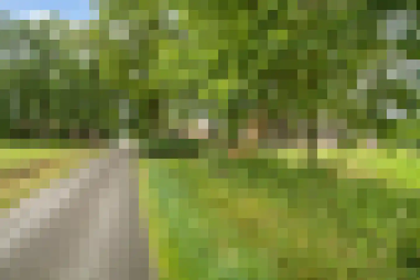 Withagsmedenweg 5 Hengelo thumbnail 41