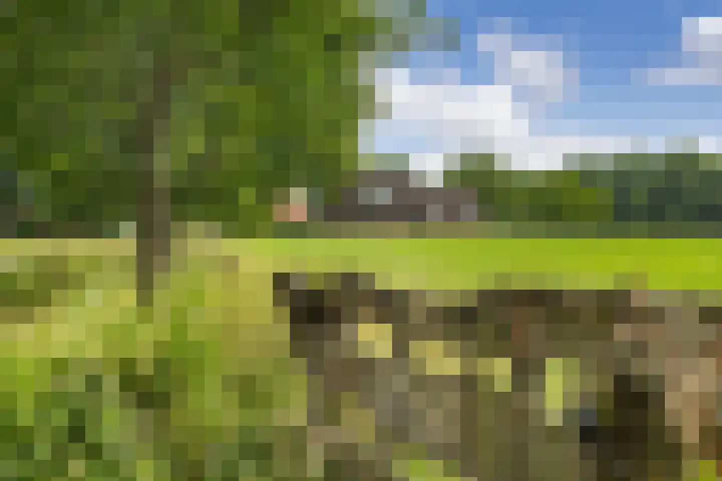 Withagsmedenweg 5 Hengelo thumbnail 42