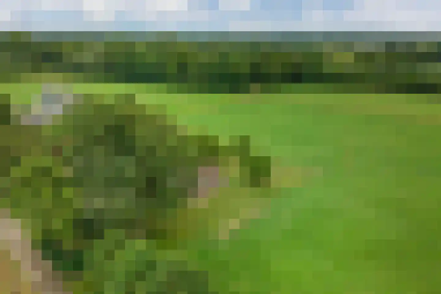 Withagsmedenweg 5 Hengelo thumbnail 43