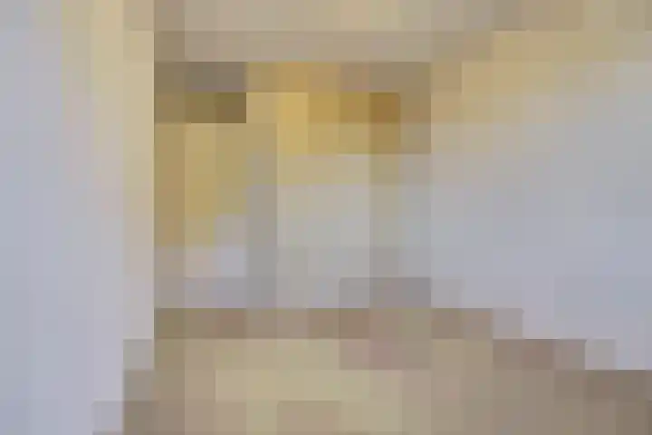 Witherenstraat 108 Venlo thumbnail 9