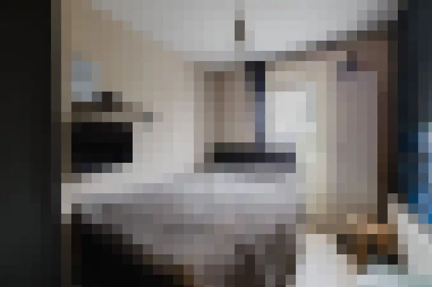 Witherenstraat 16 Veldhoven thumbnail 25