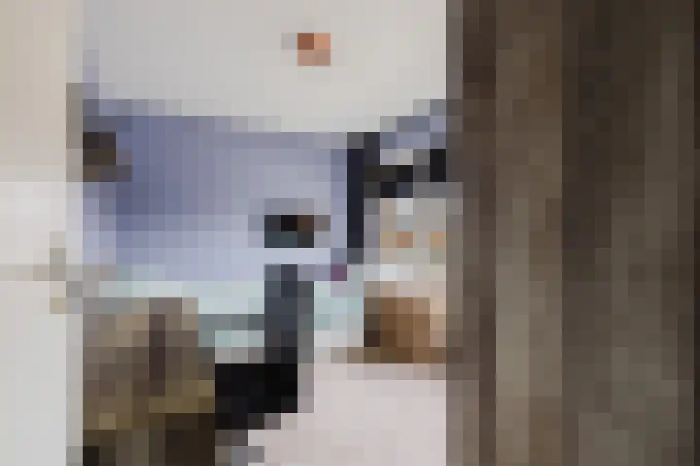 Witherenstraat 16 Veldhoven thumbnail 27