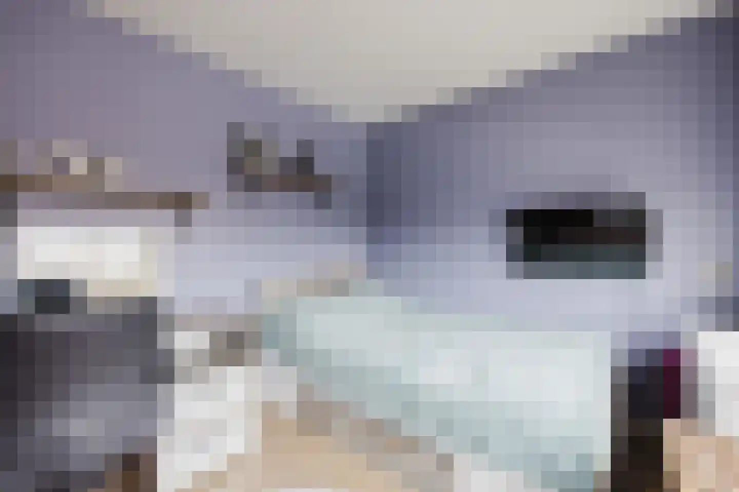 Witherenstraat 16 Veldhoven thumbnail 28