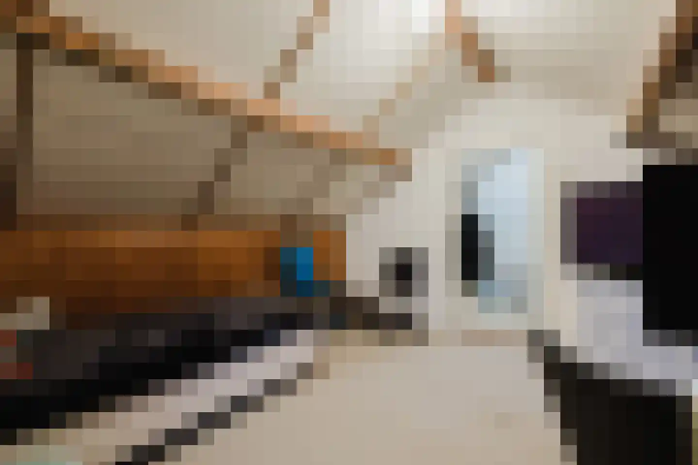 Witherenstraat 16 Veldhoven thumbnail 32