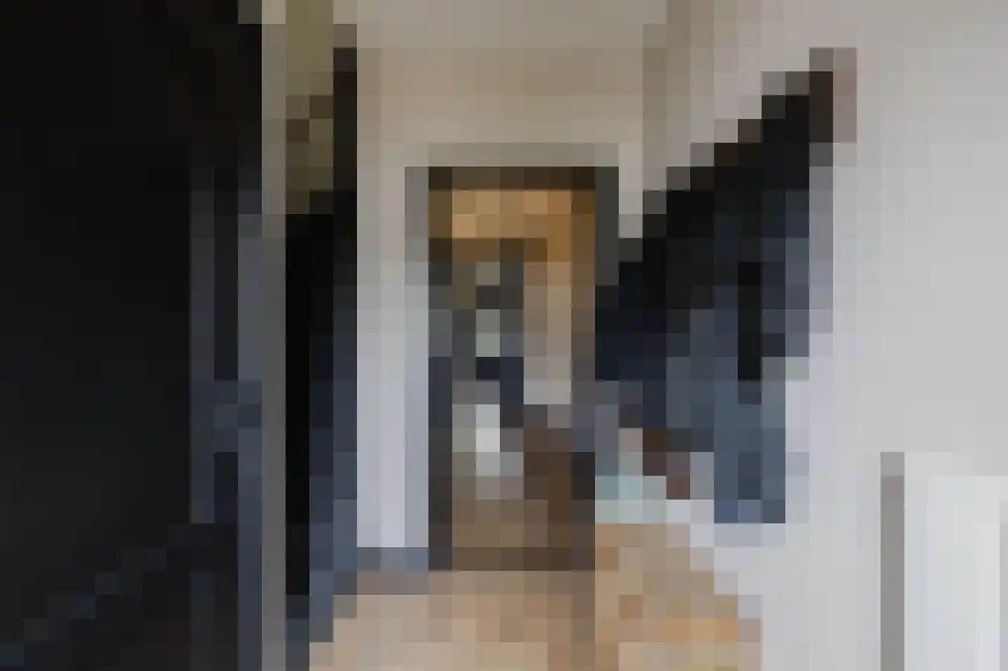 Witherenstraat 16 Veldhoven thumbnail 7