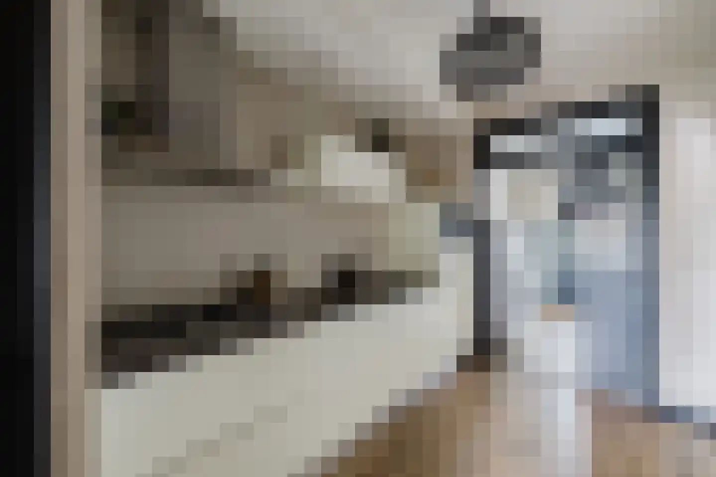 Witherenstraat 16 Veldhoven thumbnail 9
